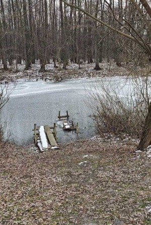 Оренда житлового будиноку с.Острів Надії - фото 1