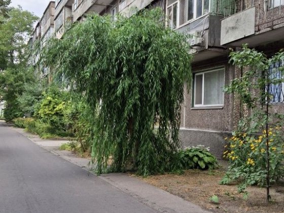 Оренда 1 кімнатної квартири в центрі міста Каменское