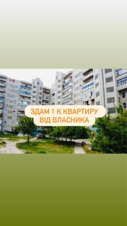 Оренда 1 к. квартира. Центр, вул. Заливна - фото 1