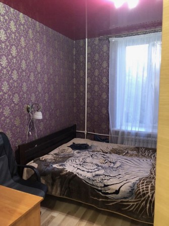 Здаємо (можна з тваринами) - фото 1