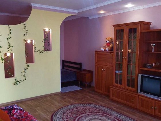 Світла 1-к квартира 54 м2 на сонячній стороні Чернігів