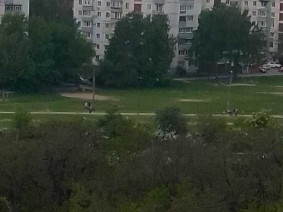 Оренда 4-х кімнатної квартири на довготривалий термін в Полтаві Полтава