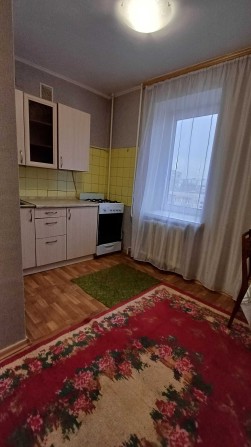 Оренда 1кімн квартири пр-т Левка Лук'яненка (Єлектрон) - фото 1