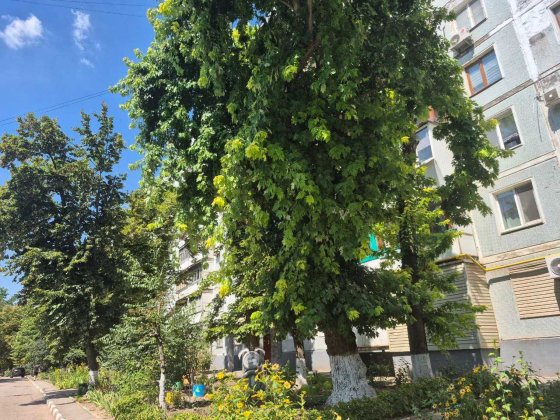 Аренда 1 комнатной квартиры Запорожье