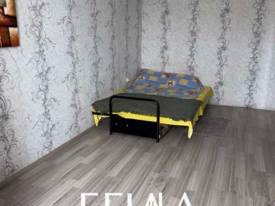 1-кімнатна квартира Ковалівка Кропивницкий