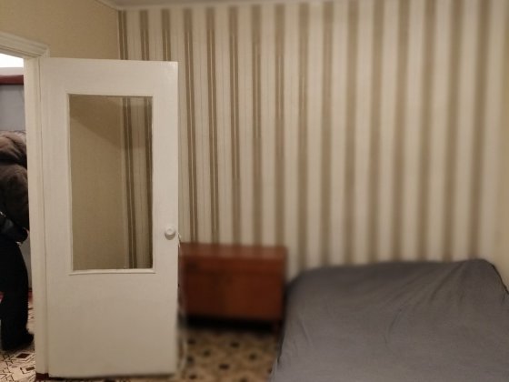 Аренда 1кк лески