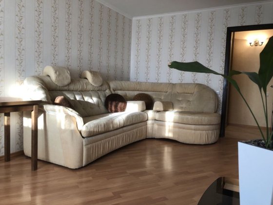 Оренда 1 кв Метро Лівобережна Дніпровський Київ