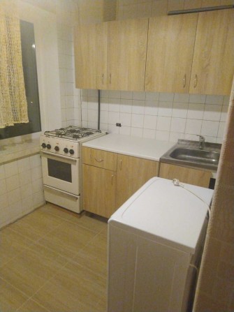 Сдам 1 комн. кв на Лесном (есть ГАЗ )по ул. Милютенко № 9А - фото 1