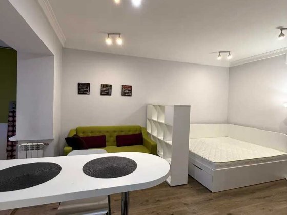 Здам 1-кімн-студіо Метро Палац Україна. вул. Велика Васильківська Киев