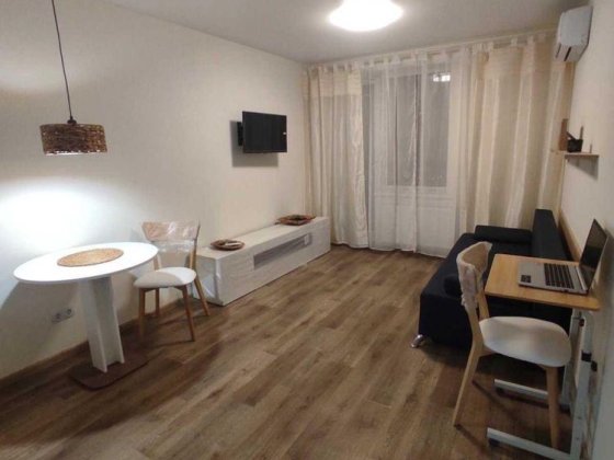 Оренда 1-к, Голосіївський район, метро Деміївська, пров. Лисогірський Киев