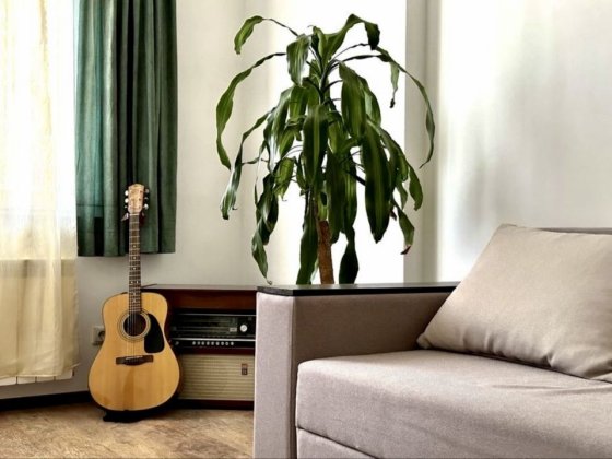 Квартира від власника з власним опаленням Киев