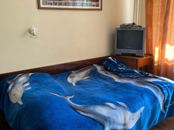 Здам квартиру Мінський масив проспект Рокосовського Киев