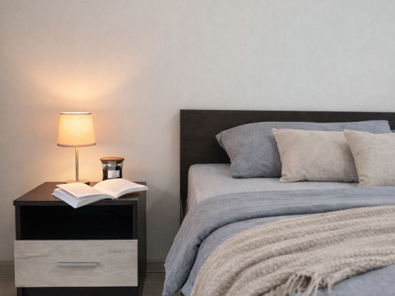 Затишок, простір і стиль - 1-кімнатна квартира, метро Васильківська Киев