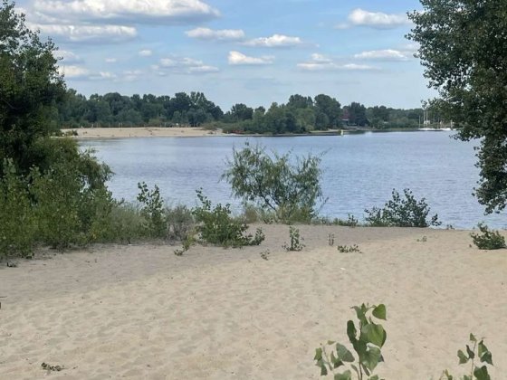 Здаеться 3 кімнатна від власника Киев