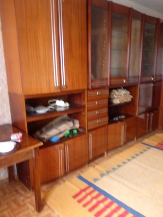 Аренда 1 комнатной 7000 + коммунальные ул Лисковская 18а - фото 1