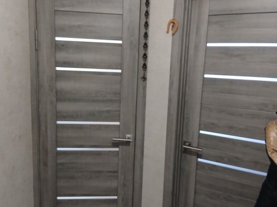 Оренла однокімнатної квартири Агрономичное