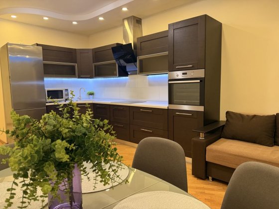 Оренда просторої  та сучасної квартири на  Олени Пчілки 2,  Позняки Київ