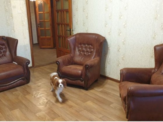 Сдам квартиру ул. Бугаевская, 2 комнаты Одесса