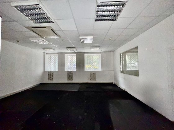 Здам в оренду квартиру 319 кв.м. Прорізна Майдан Хрещатик Золоті ворот Киев