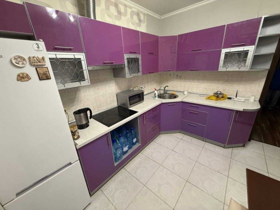 Оренда просторої 1кім. квартири. Бортничі. Лютнева 1. Киев