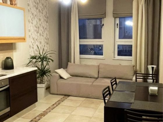 Центр!Функциональная 1-я квартира,3 спальных места . Київ