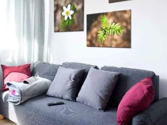 Оренда 1-к, Голосіївський район, метро Деміївська, пров. Ясинуватський Киев