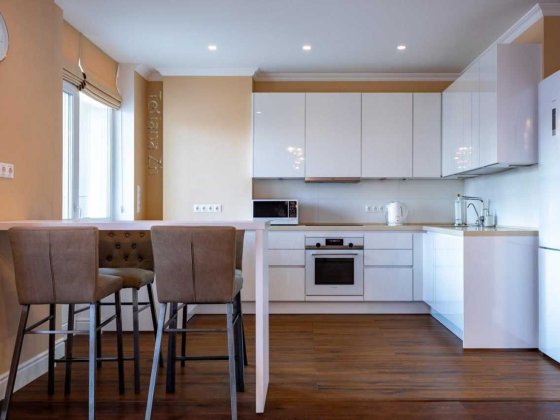 Простора і затишна квартира біля метро Лук’янівська Киев