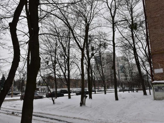 здам однокімнатну квартиру проспект Берестейський 74 Київ