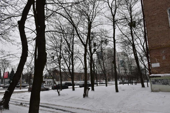 здам однокімнатну квартиру проспект Берестейський 74 - фото 1