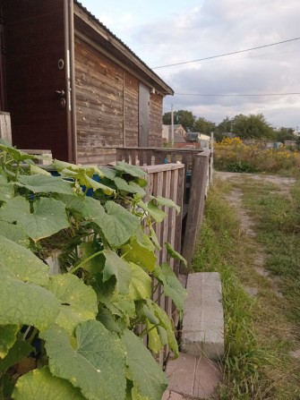 1К квартиру. Здам. Планування таунхаус. Київ. Солом-й р-н. - фото 1