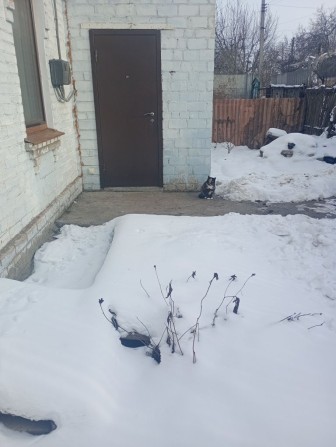 Сдам место во дворе для машины ,есть времянка для мотоцикла,велосипеда - фото 1