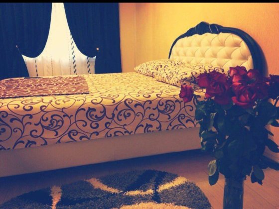 Почасово,сутки квартира Пушкина,Гагарина ,ЛЮКС,центр города ,свет 24/7 Запоріжжя