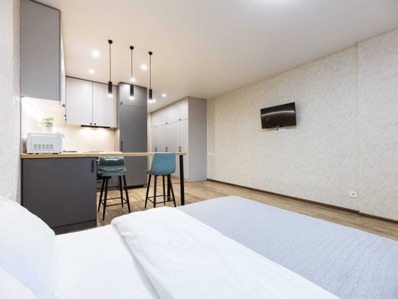 Подобова оренда студії, біля метро, Бажана 17Б. Є укриття. Киев