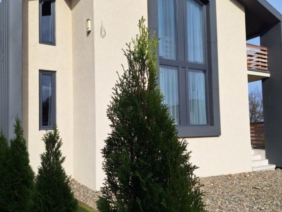 Подобова оренда будинку Велятино