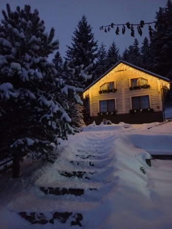 Котедж "Шепіт лісу" - фото 1