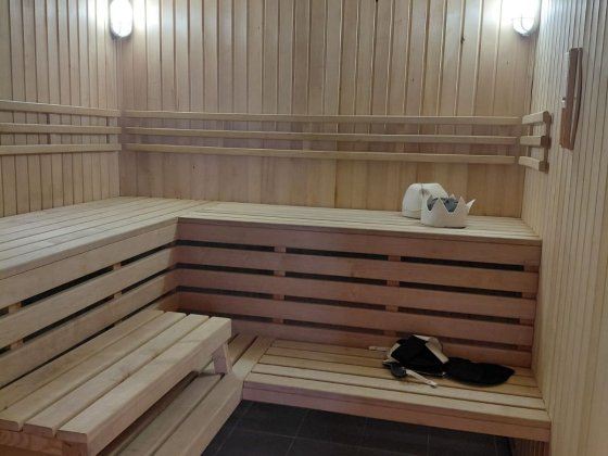 Баня фінська сауна+ басейн Большая Дымерка