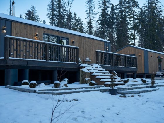 Terra Cottages — відпочинок у горах для тих, хто цінує комфорт Мигове
