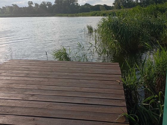 Сдам дачу со свом мостиком на  Днепре Приднепровское