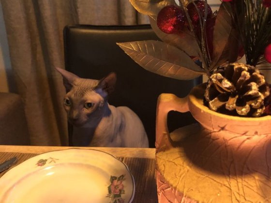 Продам 3 кімнатну квартиру Вознесенск