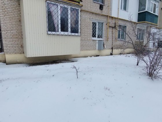 Продам 1к.кв в Солоницевке Солоницівка