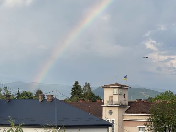 Будинок/Квартира Свалява