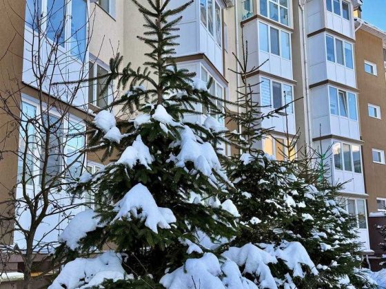 Однокімнатна, газ, 2%! Без комісії! Ворзель