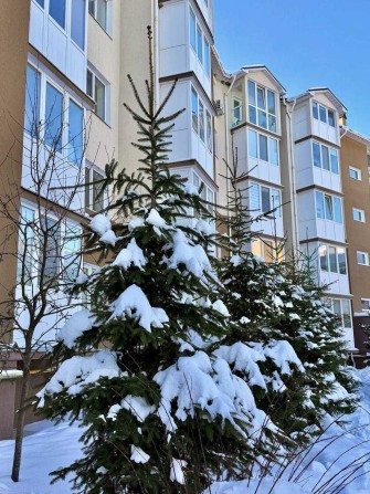 Однокімнатна, газ, 2%! Без комісії! - фото 1