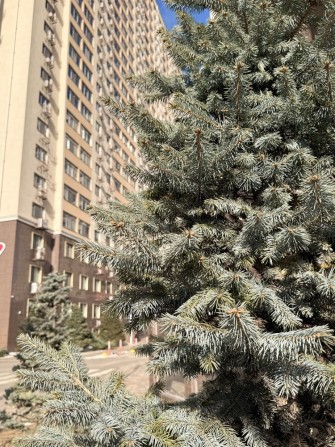 Сахарова Кадор 2х комнатная , евроремонт-56 000$ - фото 1