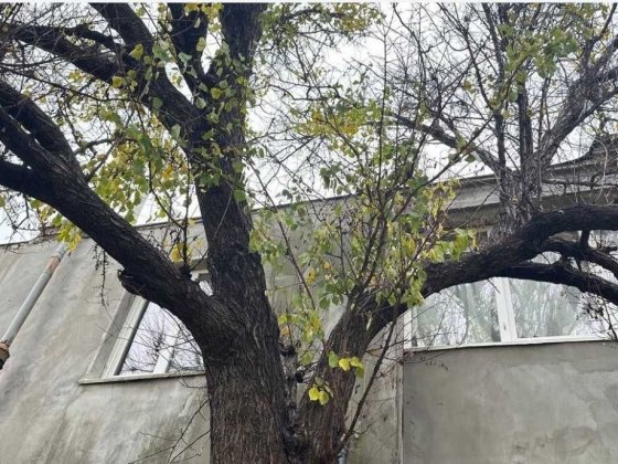 2-х комнатная квартира в Красносілка Красносілка