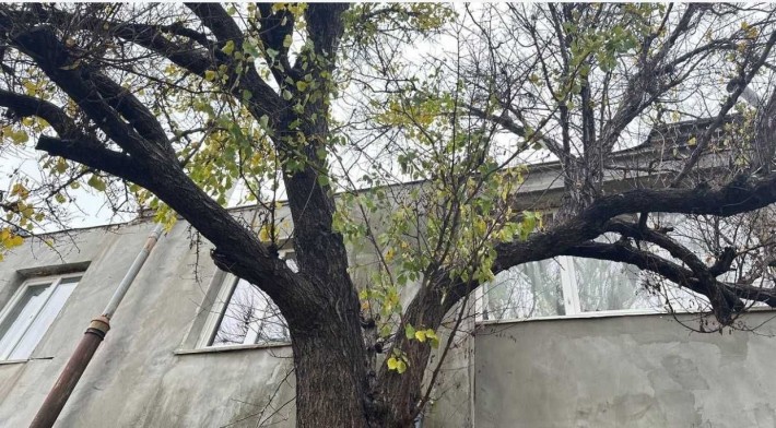 2-х комнатная квартира в Красносілка - фото 1