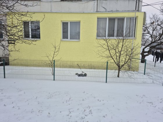 Продається двокімнатна квартира Котельва