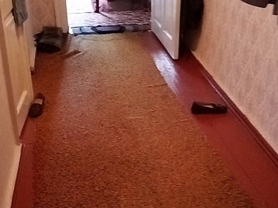 Продам квартиру в 4х квартирному будинку Сновськ