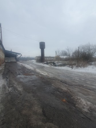 Майновий комплекс по переробці олійних культур - фото 1