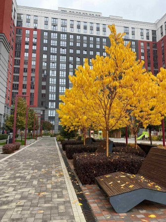 Продаю однокімнатну кв. з лоджією ЖК Ірпінь сіті Вигідна ціна! БЕЗ% - фото 1